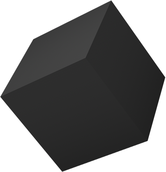 Motion Designer